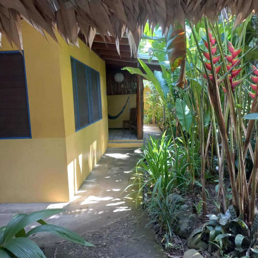 Cabinas Guarana Puerto Viejo de Talamanca Zewnętrze zdjęcie
