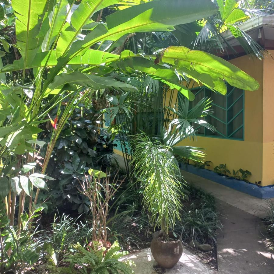 Cabinas Guarana Puerto Viejo de Talamanca Zewnętrze zdjęcie